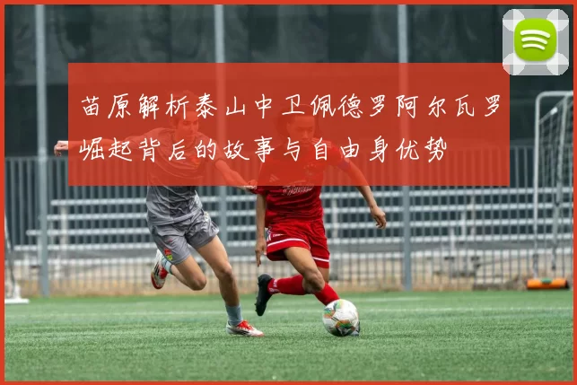 苗原解析泰山中卫佩德罗阿尔瓦罗崛起背后的故事与自由身优势
