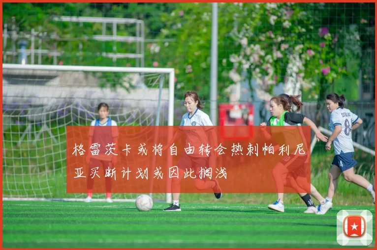 格雷茨卡或将自由转会热刺帕利尼亚买断计划或因此搁浅